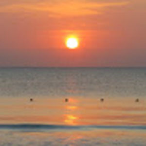 Meet your Posher, Shelly